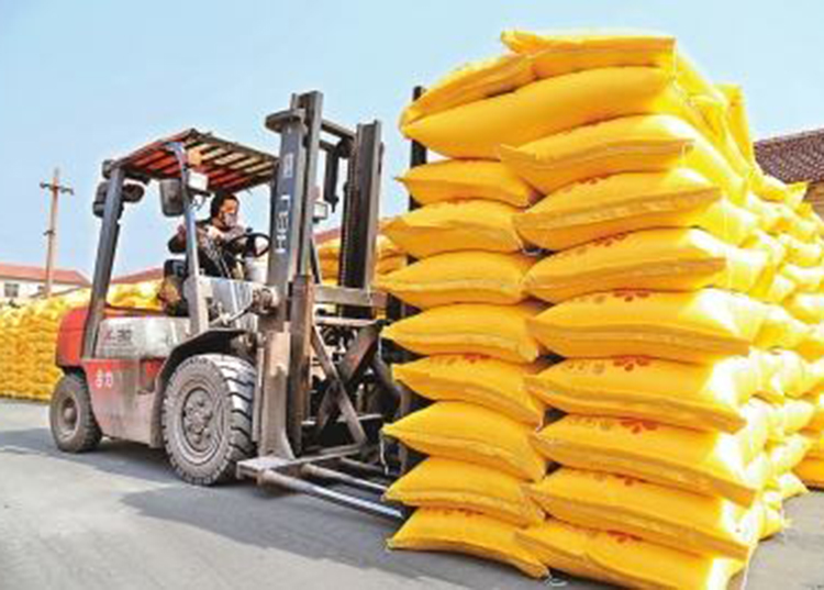 廠區(qū)環(huán)境